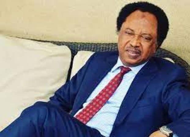 North?s poverty, insecurity linked to poor education ? Shehu Sani