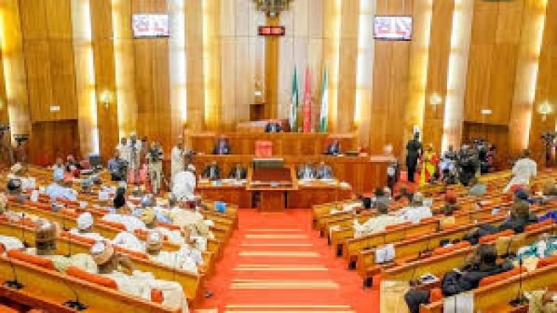 Power outage: Senate slams GenCos, TCN, DisCos, says they add no value