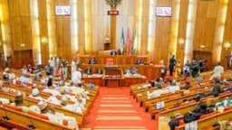 Power outage: Senate slams GenCos, TCN, DisCos, says they add no value