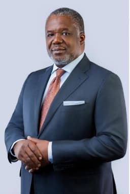 OPEC appoints Adeyemi-Bero as Chairman, OPEC Board of Governors 2025