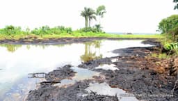 Oil Spill: Delta communities give NNPCL subsidiary 7-day ultimatum over compensation