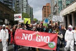 Coalition calls for ban on GMOs in Nigeria