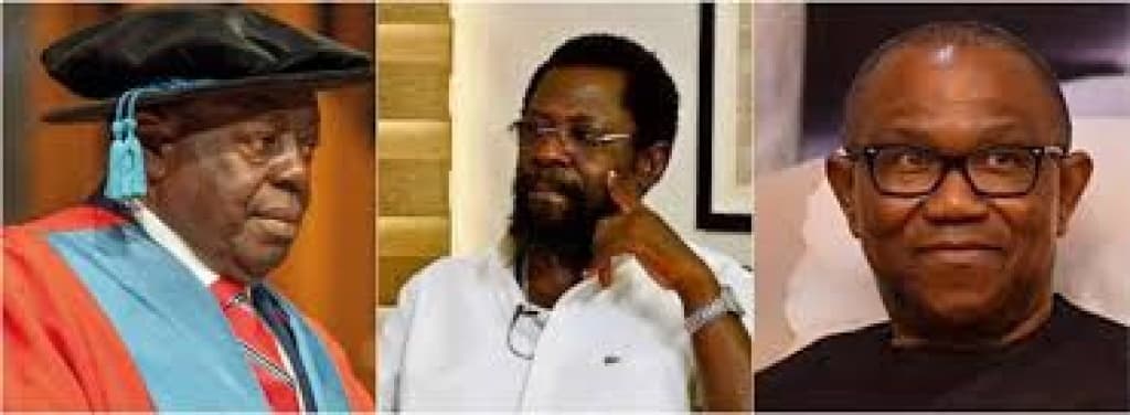 Afe Babalola vs Dele Farotimi: Why Peter Obi tried to step in ? Nzeakor