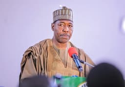 Alau Dam collapse: Act before another disaster strikes, Zulum tells FG