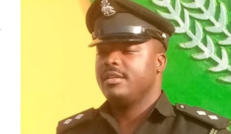 Kidnap attempt foiled in Katsina, Police rescue 10