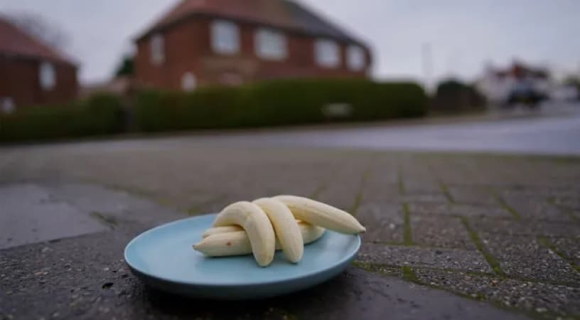 Confusion as mysterious banana ?offering? appear monthly at UK junction