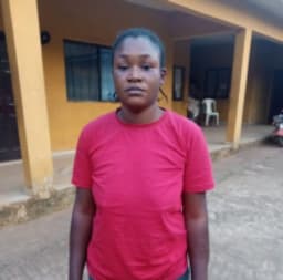 Police arrest woman for burning domestic servant?s genital with hot metal
