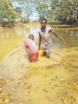 Ebonyi community where residents, cows struggle for water from same stream