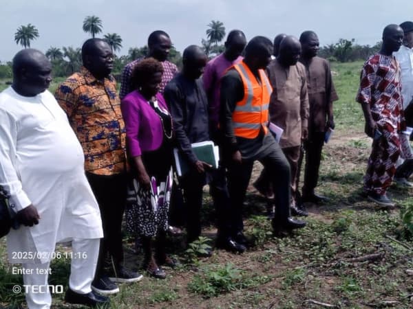 60MW Power Plant: Bayelsa begins EIA