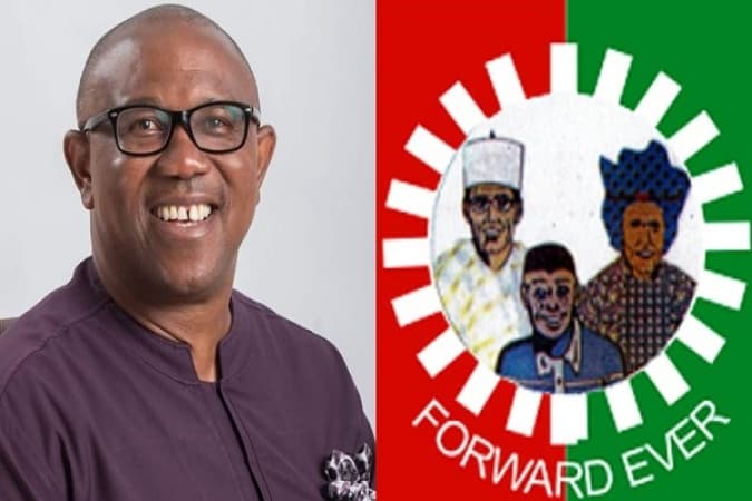 2027: LP endorses Obi presidential bid, Otti, Rhodes-Vivour for gov