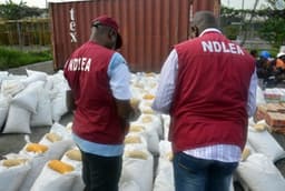 14m Nigerians abuse drugs ? NDLEA