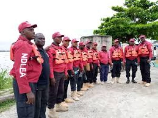 NDLEA: 3 million people abuse drugs in Kano, Kaduna, 4 others