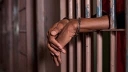 Court jails 21-year-old for stealing fowl in Ogun