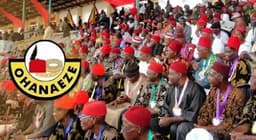 Ohanaeze youths to ACF: Stop spreading tension over alleged attacks in South-East