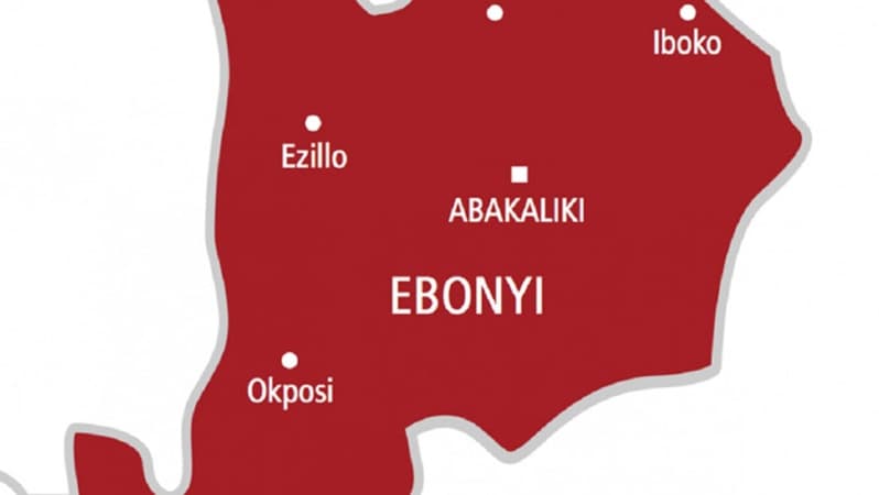 Land dispute between Ebonyi communities claims 100 in five years ? LG chair
