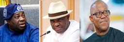 How Wike frustrated Peter Obi out of PDP — Dele Momodu