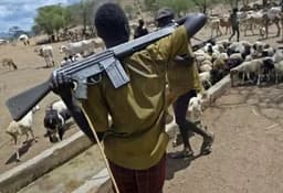 Foreign herders behind attacks on communities ? DHQ