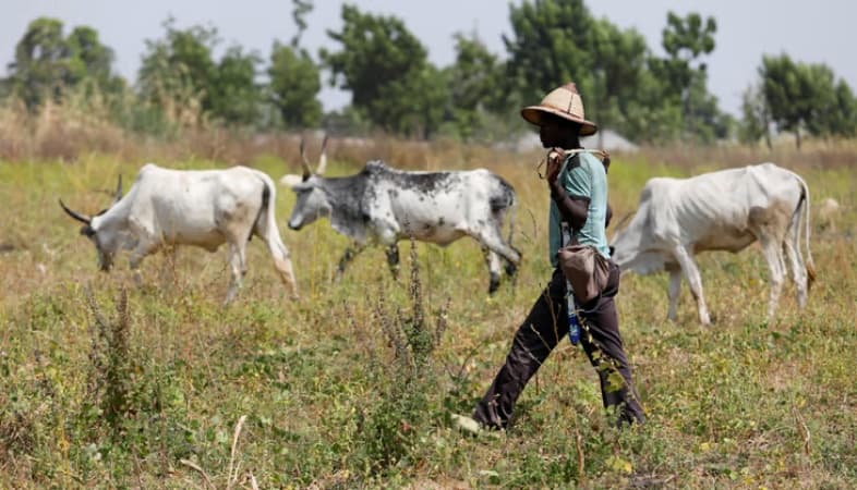 Delta profiles herders to curb clashes with farmers