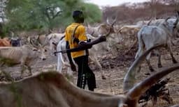 Two herders gunned down, vigilante injured in Abuja community