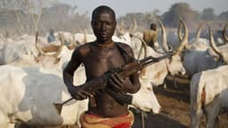 61 killed in fresh herdsmen attacks, communal crisis in Benue, over 200 houses razed