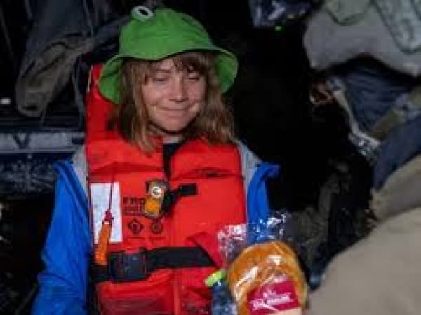 Greta Thunberg detained as Israeli Navy seizes Gaza aid ship in international waters