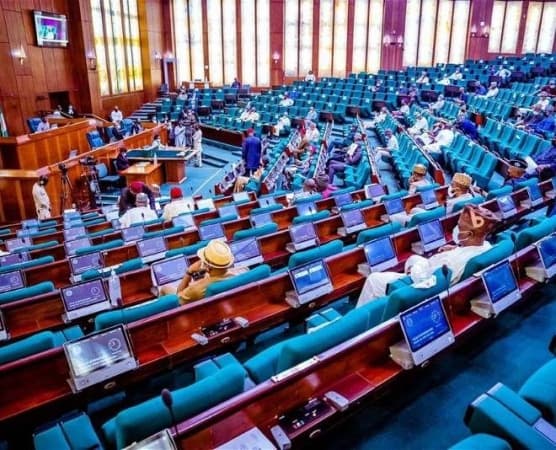 Constitution review: Reps to consider 46 new states, 117 LG creation requests