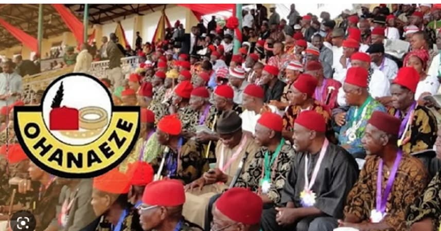 Ohanaeze inaugurates 18-man constitution review committee