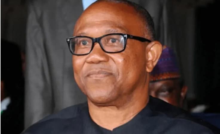 Peter Obi must not be harmed anywhere in Nigeria, LP Reps Caucus warns
