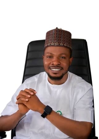 Court halts suspension of Niger LG chairman