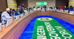 Governors: Removal of Nigeria from Grey List of FATF evidence of Tinubu’s financial discipline, integrity