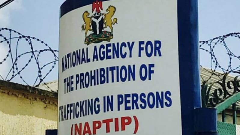 ‘I paid N2.8m for child adoption’, complainant says as NAPTIP busts syndicate selling children