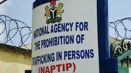 ‘I paid N2.8m for child adoption’, complainant says as NAPTIP busts syndicate selling children