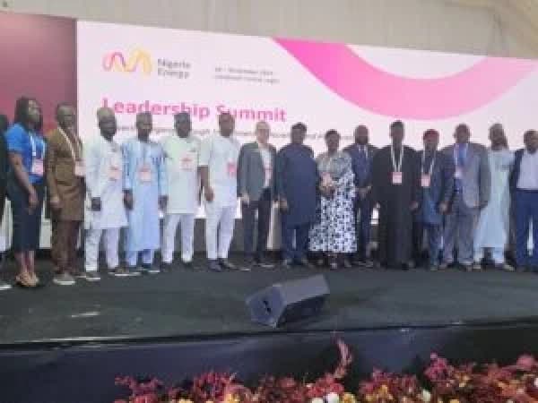 FG secures N700bn to deploy 1.1m meters