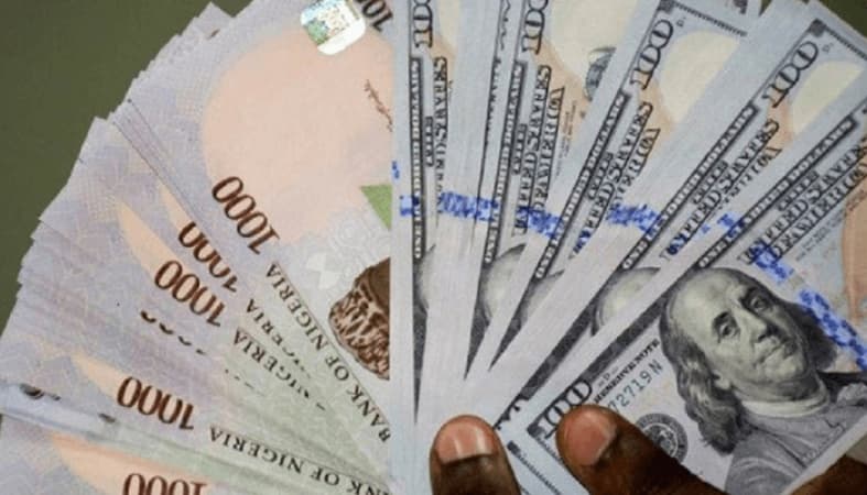 Naira rises to all-time high since EFEMS debut