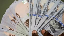 Naira rises to all-time high since EFEMS debut