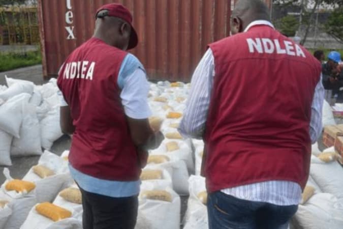 We seized 384.88 kilograms of loud, other drugs from Lagos nightclub party — NDLEA