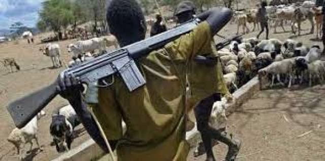 Militia, armed herders unleash fresh terror on Benue communities