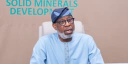 We’ve recovered over 90 mining sites from illegal miners — Alake