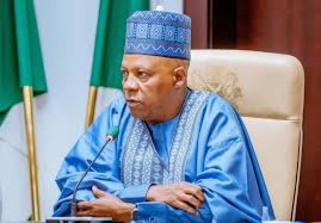 FG targeting 7 days to clear goods, as Single Window Policy takes off in 2026 — Shettima