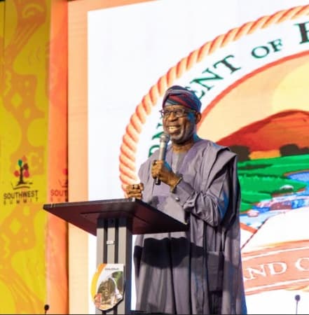 The South West and the Reforms in the Mining Sector