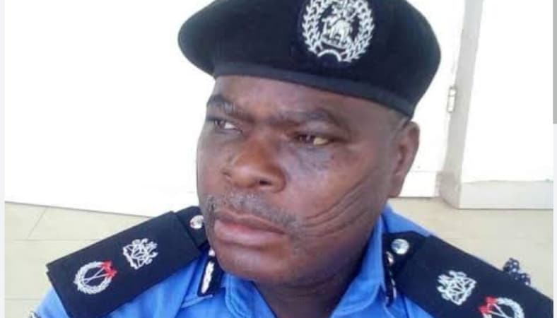 Police arrest 11 underage persons at ‘illegal’ gathering in Yobe