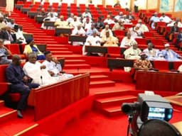 Senate Urges FG to Patronise ANAMMCO, Confirm Company’s Production Capacity Share