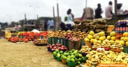 FG rolls out new plans to tackle food shortage