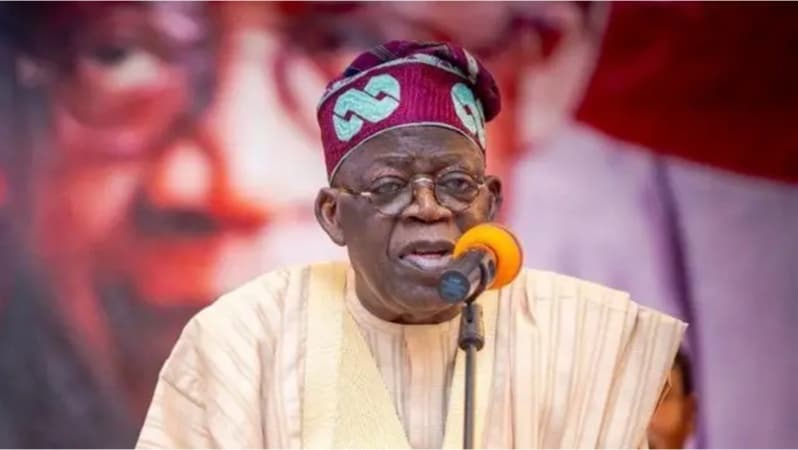 Tinubu woos investors, says Nigeria ready for partnerships