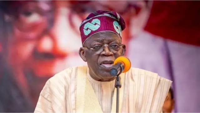 Tinubu woos investors, says Nigeria ready for partnerships