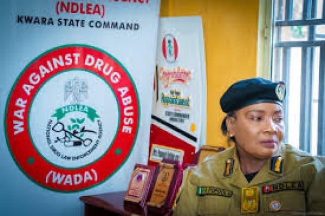 NDLEA: How commercial drivers aid passengers in moving drugs