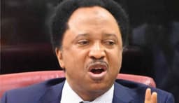 Return home, Shehu? Sani urges Nigerians with revoked US visas