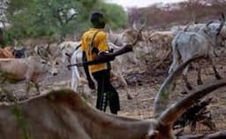 Fresh attacks heighten fear in Nasarawa as kidnappers abduct couple, herders maim farmers