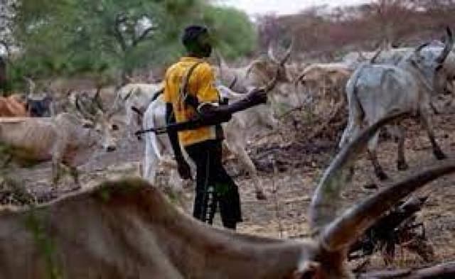 Fresh attacks heighten fear in Nasarawa as kidnappers abduct couple, herders maim farmers