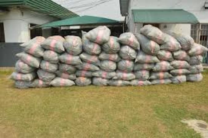 Drug cartel abandons two buses loaded with cannabis in Edo